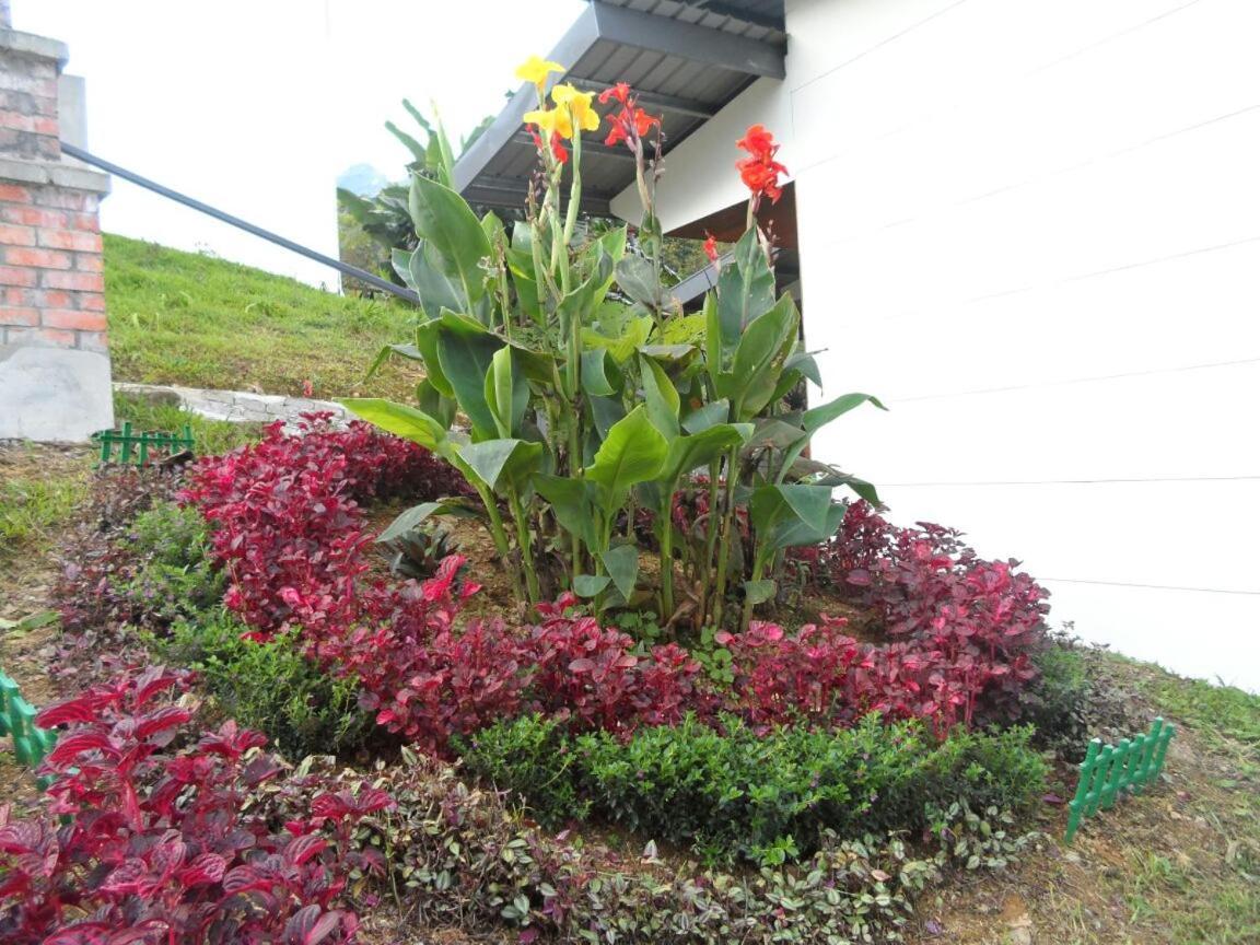 Ayana * Kundasang